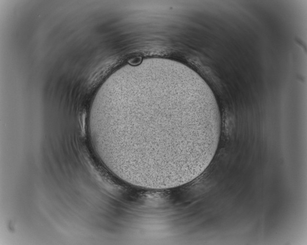 X0000102340070200808221640