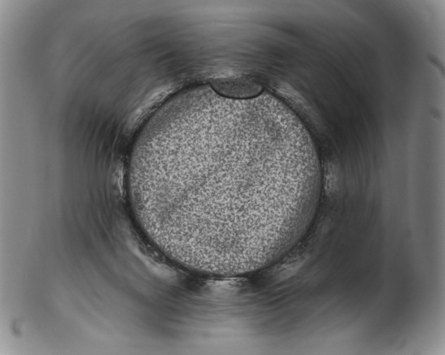 X0000102340072200808221640