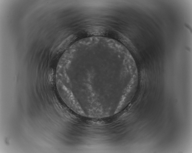 X0000102340073200808221640