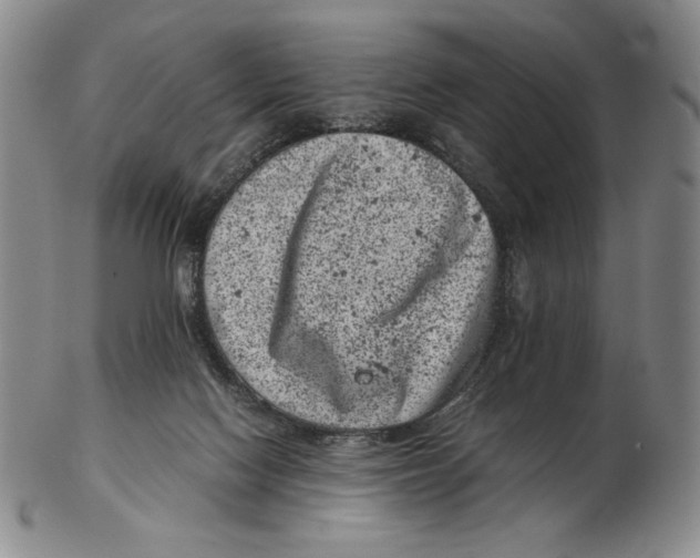 X0000102340074200808221640