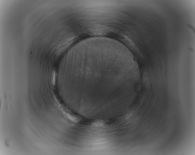 X0000102340076200808221640