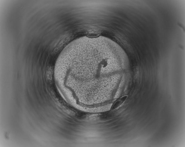 X0000102340078200808221640