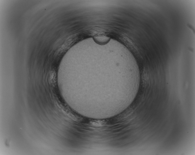 X0000102340079200808221640