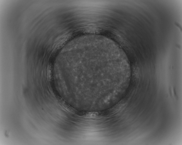 X0000102340080200808221640