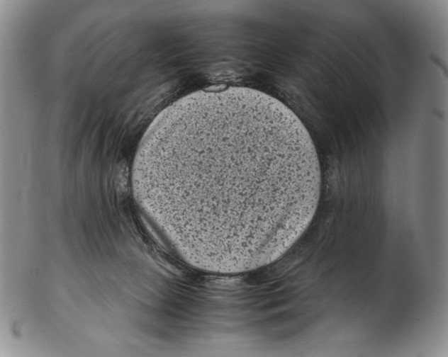 X0000102340081200808221640