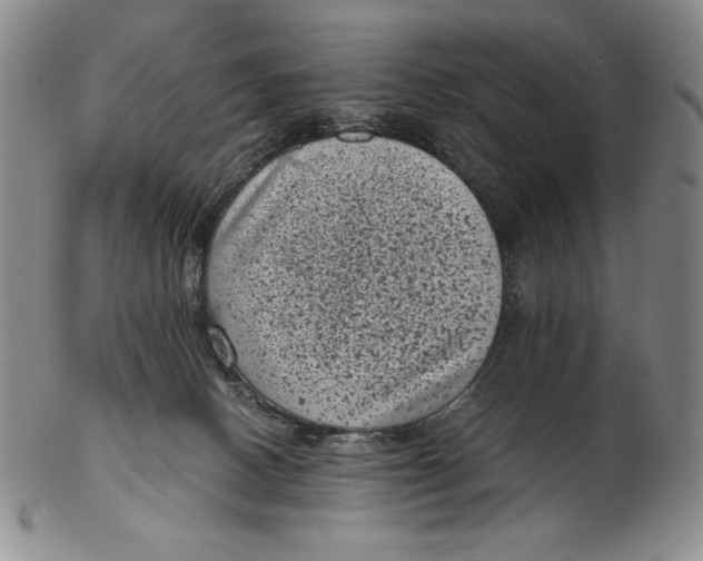 X0000102340082200808221641