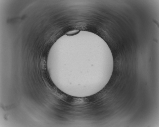 X0000102340083200808221641