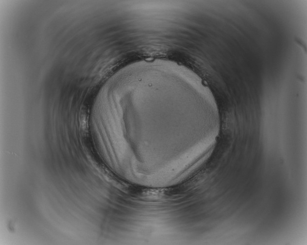 X0000102340084200808221641