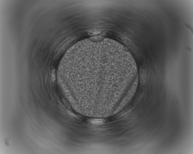 X0000102340085200808221641