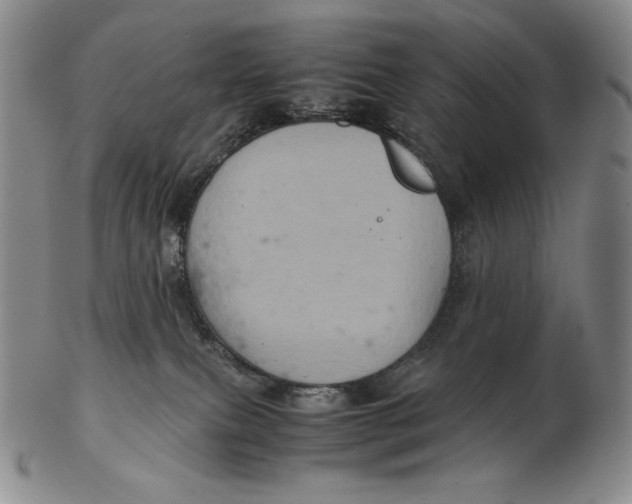 X0000102340087200808221641