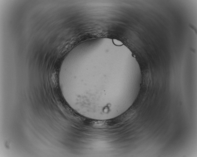 X0000102340088200808221641