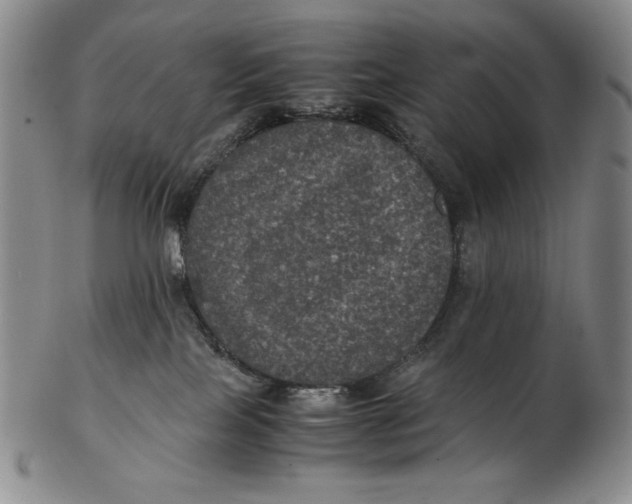 X0000102340089200808221641