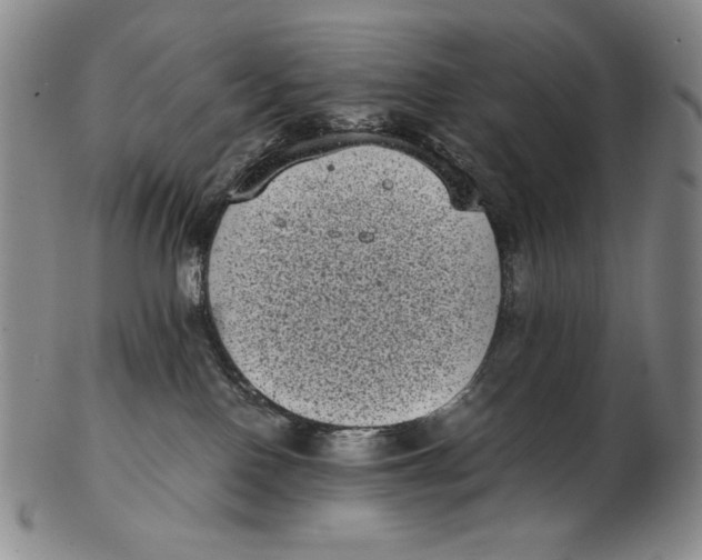 X0000102340090200808221641