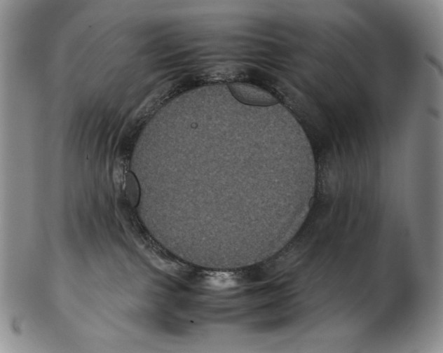 X0000102340091200808221641