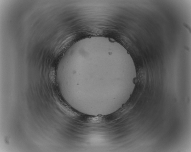 X0000102340092200808221641