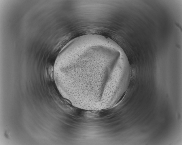 X0000102340094200808221641