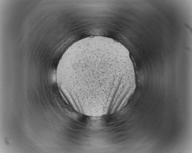 X0000102340095200808221641