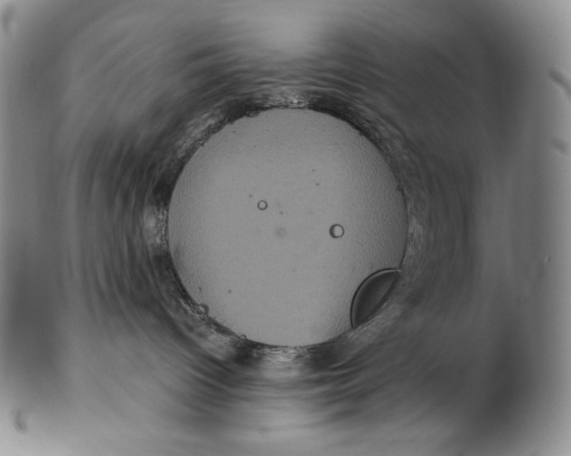 X0000102340096200808221641