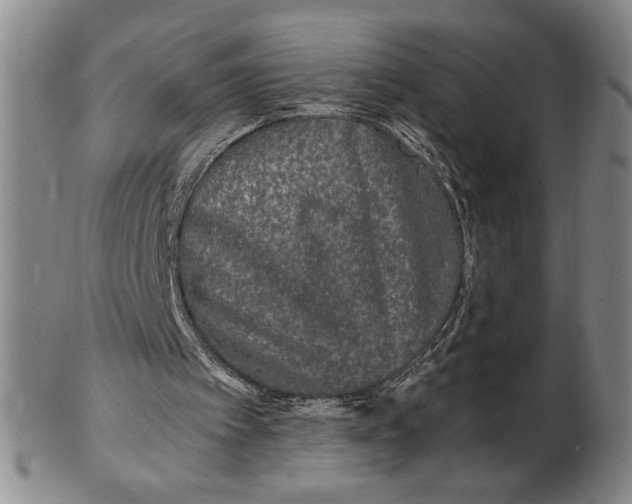 X0000102340097200808221640