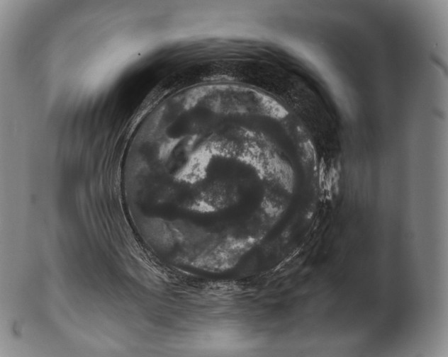 X0000102340099200808221640