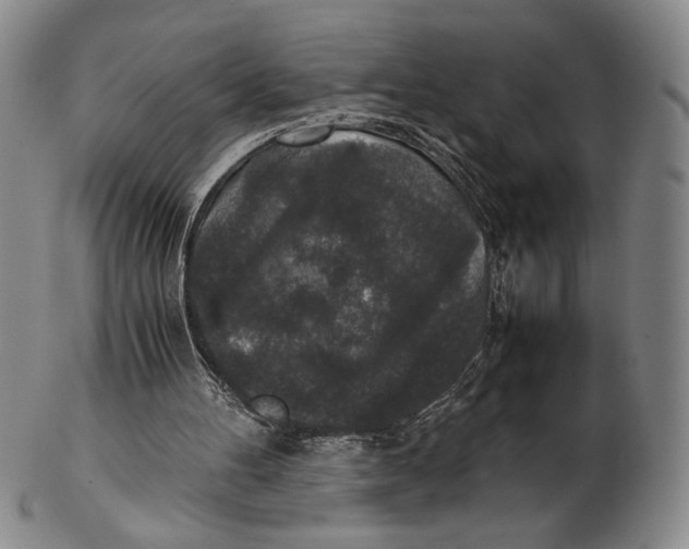 X0000102340100200808221640