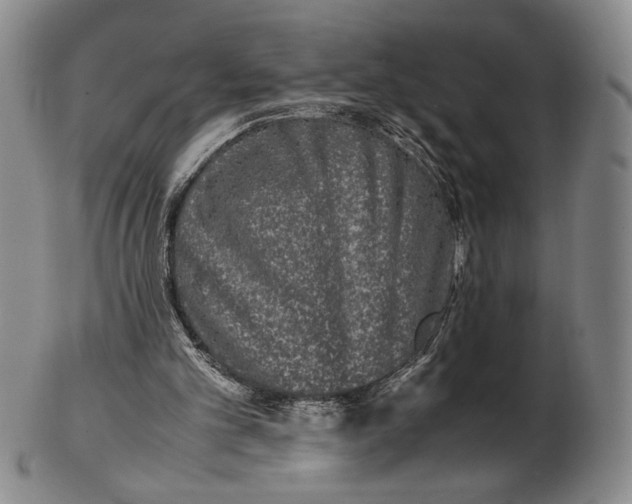 X0000102340101200808221640