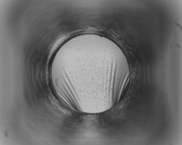 X0000102340102200808221640