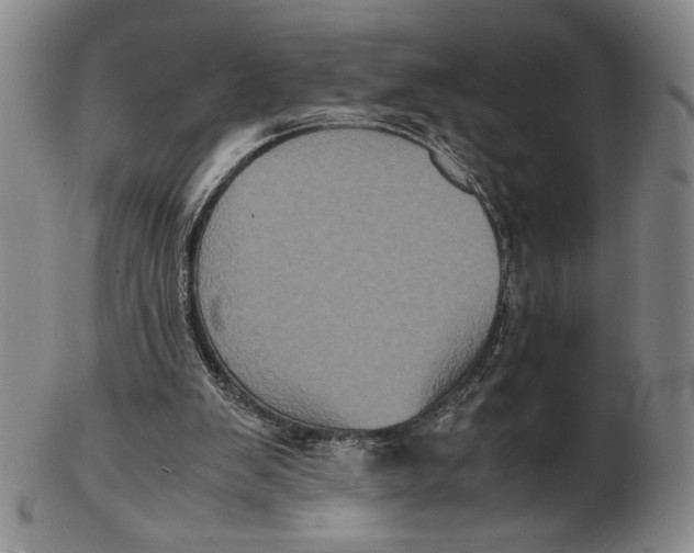 X0000102340103200808221640