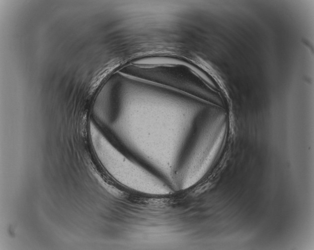 X0000102340105200808221640