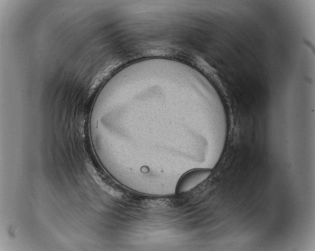 X0000102340106200808221640