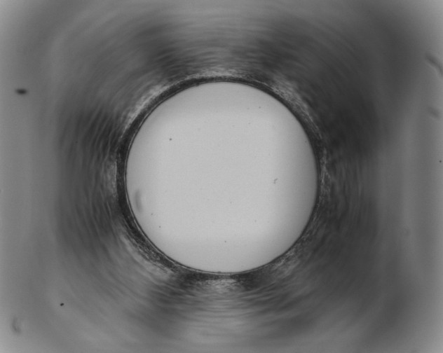 X0000102340108200808221640