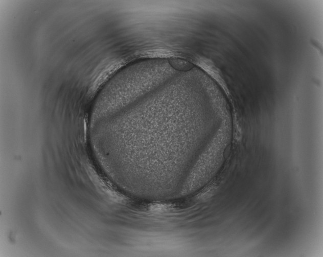 X0000102340109200808221640