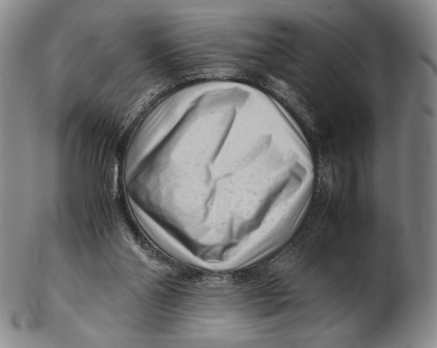 X0000102340110200808221640