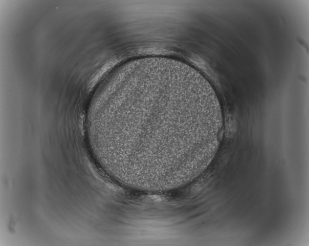 X0000102340111200808221640