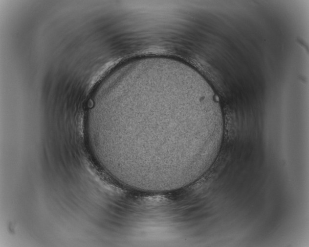 X0000102340112200808221640