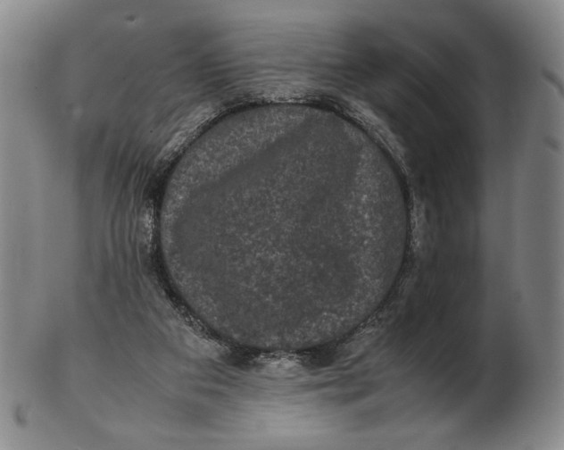 X0000102340113200808221640