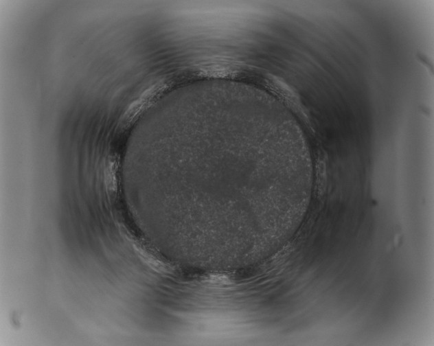 X0000102340114200808221640