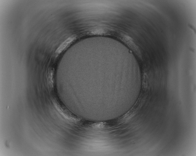 X0000102340116200808221640