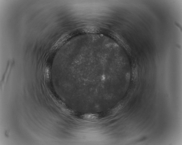 X0000102340117200808221640