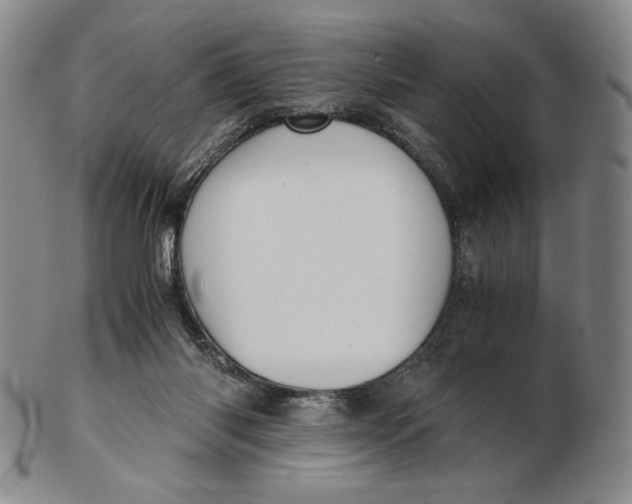 X0000102340118200808221640