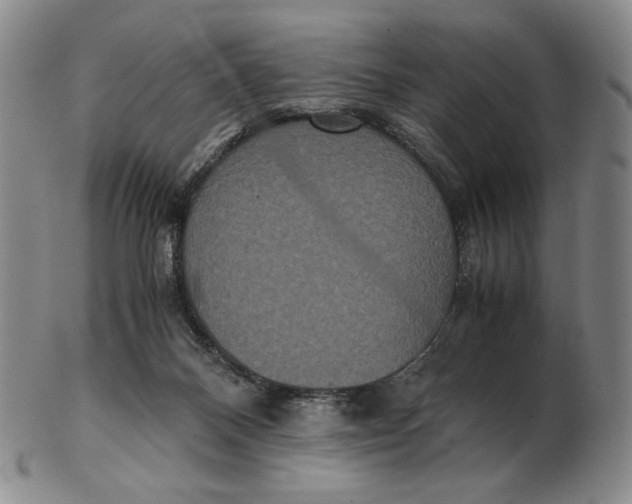 X0000102340120200808221640