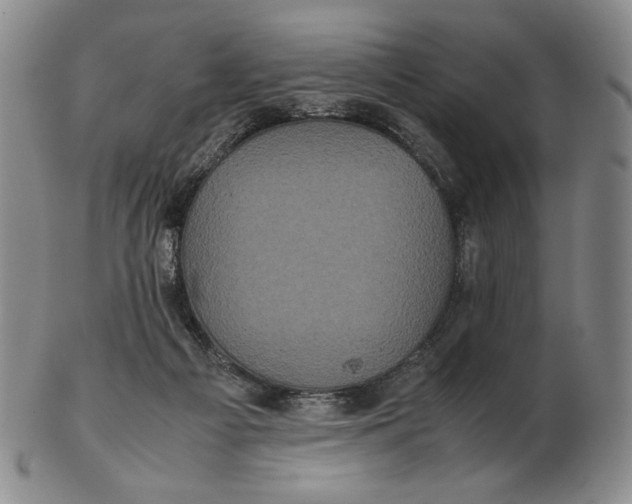 X0000102340121200808221640