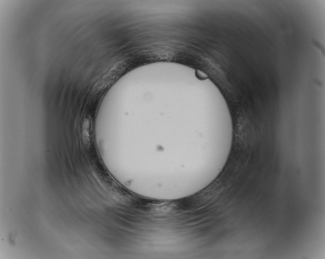 X0000102340122200808221640