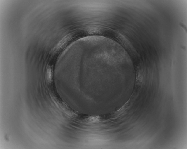 X0000102340124200808221640