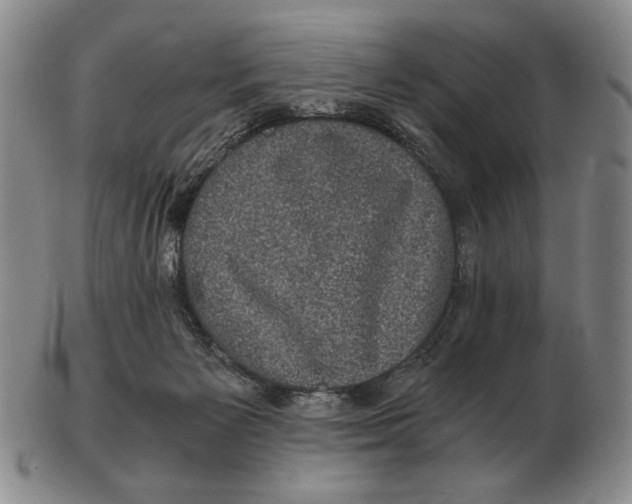 X0000102340125200808221640