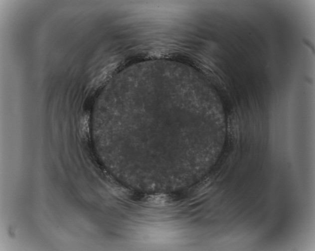 X0000102340127200808221640