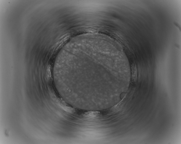 X0000102340128200808221640