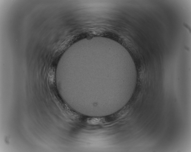 X0000102340129200808221640