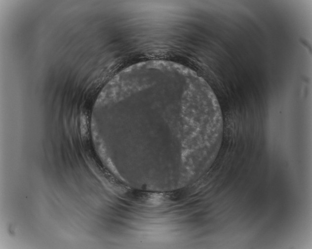 X0000102340130200808221640