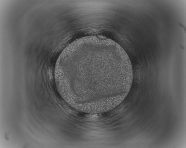 X0000102340131200808221640